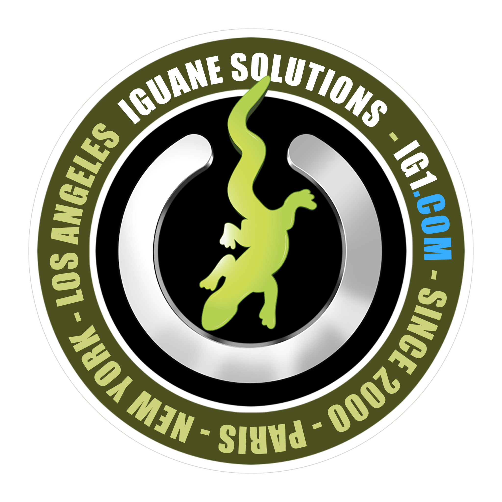 Iguane Solutions