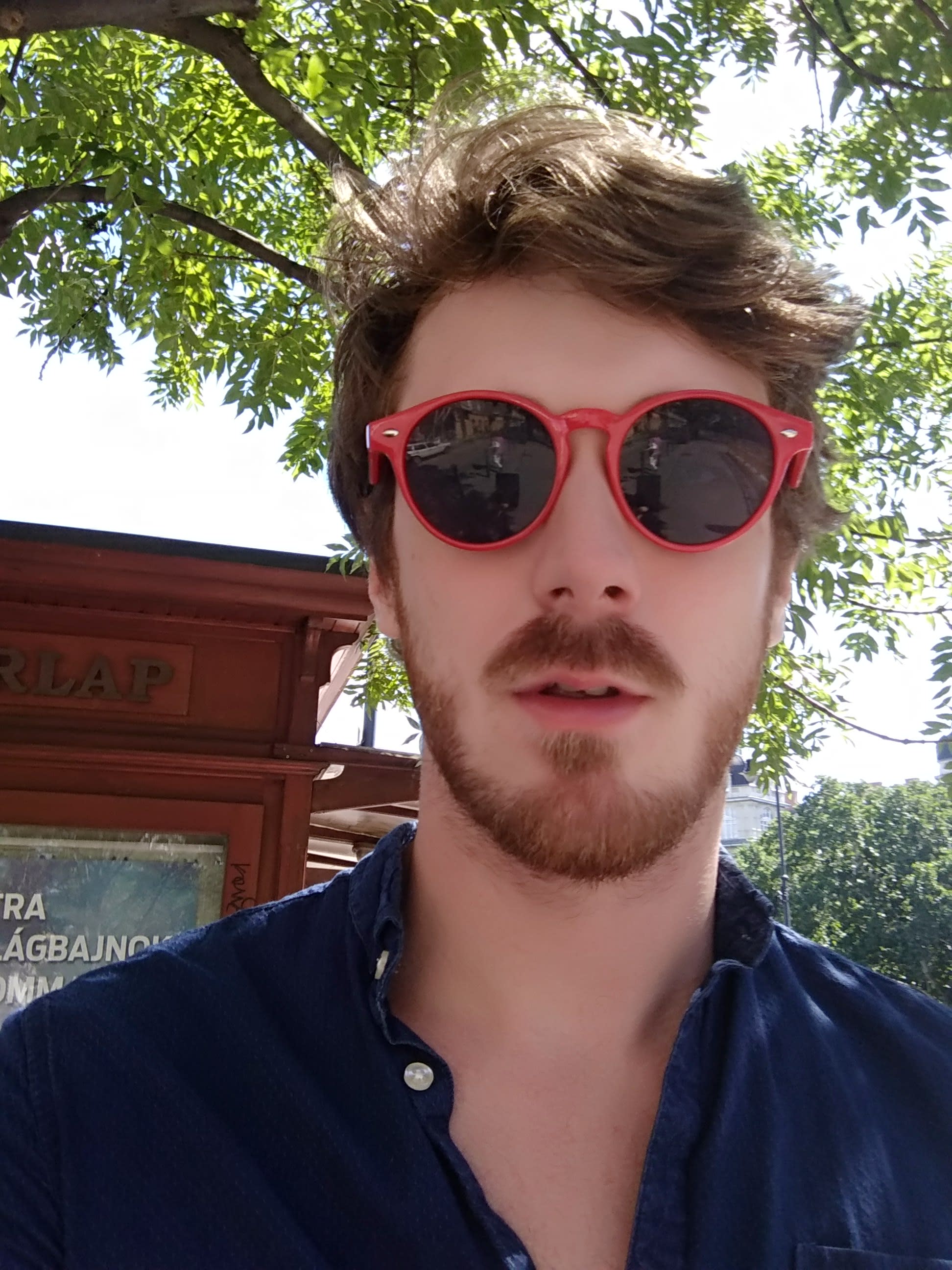 Mathieu Damestoy