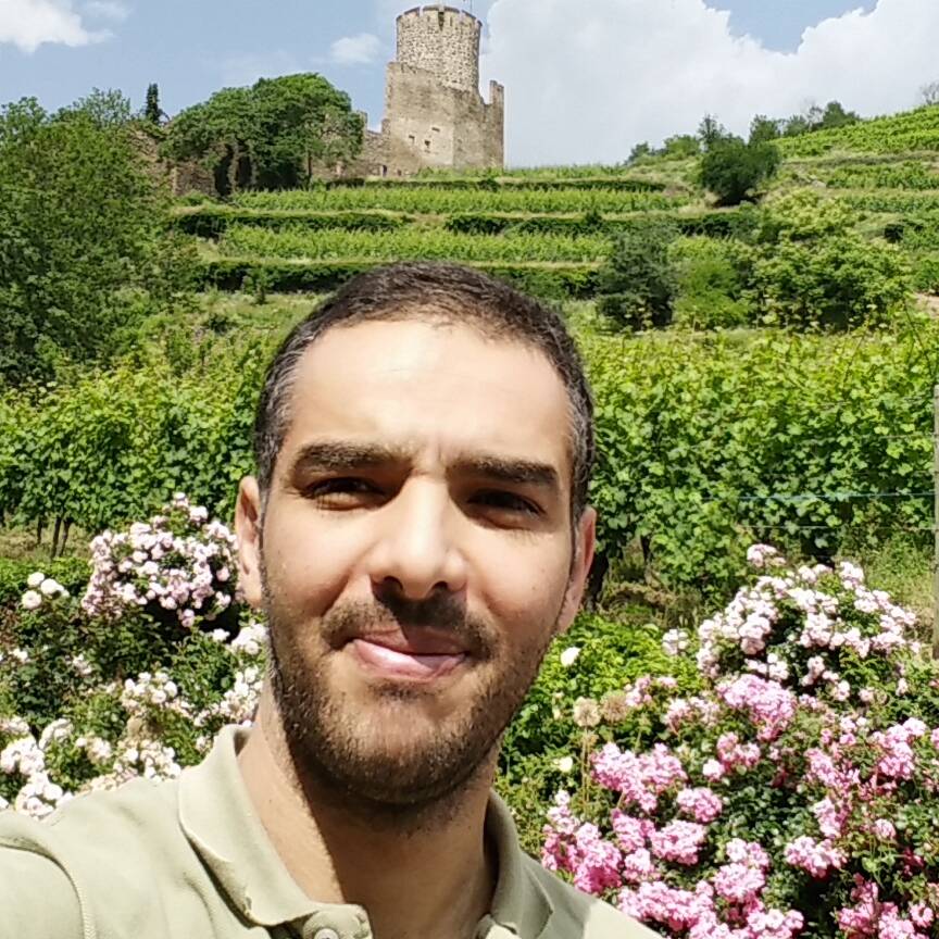 Yosri N. - Senior java developer