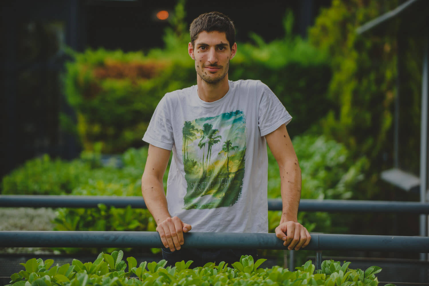 François Chapuis - Développeur backend Python/Django sénior / devops